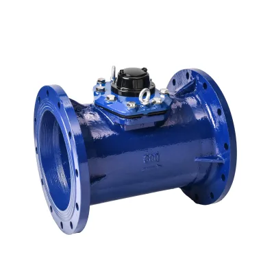 Dry Dial Cold Water Meters Mechanical Water Meter Flange Water Meter 6"