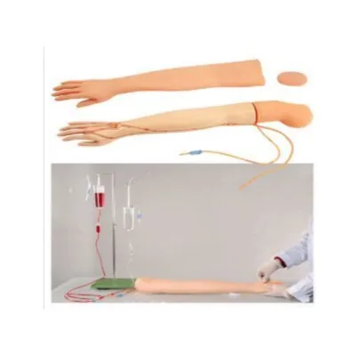 Single Set Skin and Blood Vessel HS3-2 Medical Science Manikin
