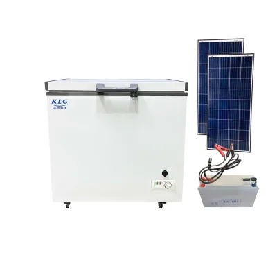 DC 12v/24V Top Open Door Solar Deep Chest Freezer Fridge 220V Mini Freezer