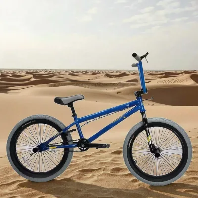High Performance Wholesale Double V Brake Steel Fork BMX Trail Bike for Professional Racing and Stunt Training Fast Dispatch