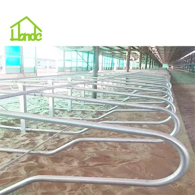 Heavy Duty Cow Free Stall with Hot-dip Galvanized Portable Cow Cubicles for Dairy Farm