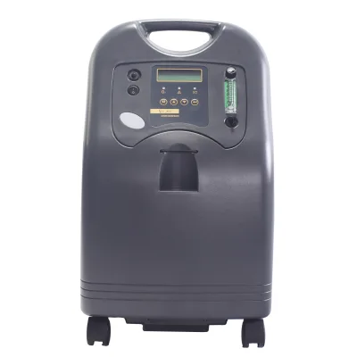 Customized Concentratore Di Ossigeno 5l 8l 10l Oxygen Concentrator for Medical Use