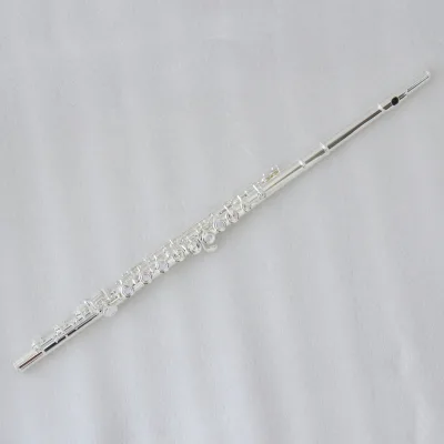 For Student Professional Model Sold on Silver Plate C Tone Cupronickel Body 17 Open Hole Keys Flute Musical Instrument Woodwind