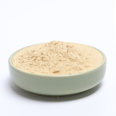 Yeast Extract Powder Food Grade Yeast Extract Powder Yeast Extracts