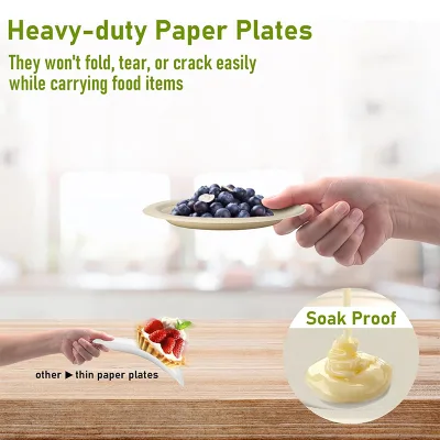 Elegant Durable Disposable White 6" Round Plate for Dining Table with Modern Design and Stylish Xmas Dinner Disposable Plates
