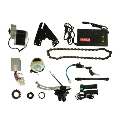 24V 250W Central Motor Electric Bicycle Conversion Kit with Rear Carrier Lithium Battery and 3 Speed Gears