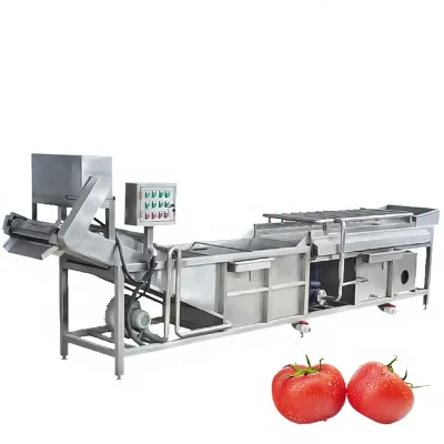 Professional Fruit Washing Machine for Fresh Apple Orange Grape Mango Cherry Strawberry Tomato Cleaning and Sorting System
