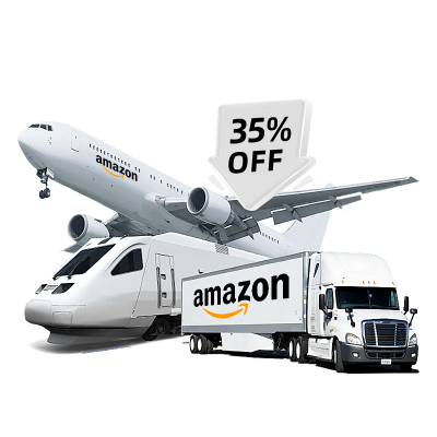 Door-to-Door Air Express Logistics Services for Special Goods Insurance Free Storage International Shipping Forwarder France