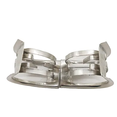 Zhongci Stainless Steel Metal Intalox Saddles Random Packing Ring Used in Absorption Tower