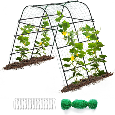 Metal Garden Arbor Rose Arch for Various Climbing Plant Outdoor Garden Lawn Backyard