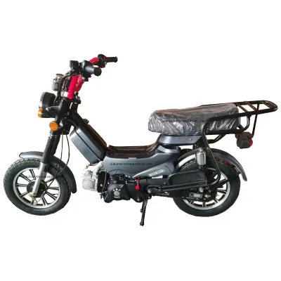 125cc Gas Scooters Motorcycle Bike Automatic Clutch 4 Stroke Motor Customized Bicycle with Motor Pedal Bike