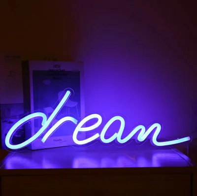 New Arrival USB Indoor Outdoor LED Acrylic Back Panel Neon Dream Sign Night Lights Wall Hanging Lights