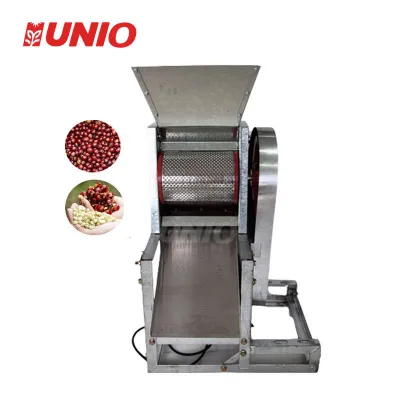 Freshly Pulped Coffee Beans - Premium Green Coffee for Roasters