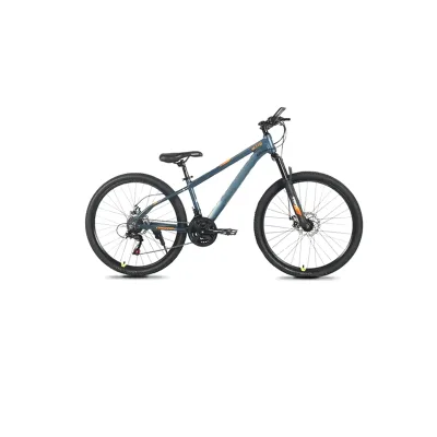 China Manufacturer Bicicletas 11-30 Speed Mountain Bike Bicycle Frame Other Bicycle Parts Aluminum Alloy Bicycle Accessories