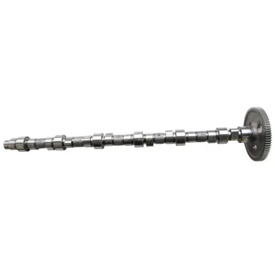Dci11 diesel Engine Camshaft D5600621152 5600621152 D5010550876 5010550876