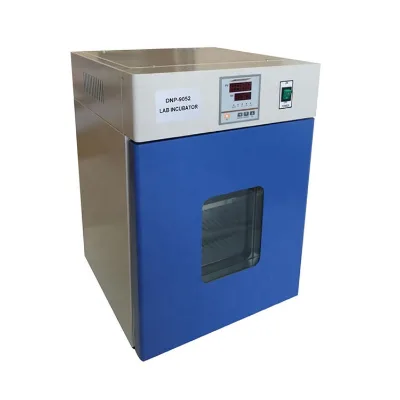 10L 30L 50L 100L Lab Thermostat Incubator Stainless Steel Bacteria Cultivation Electric Thermostatic Incubator