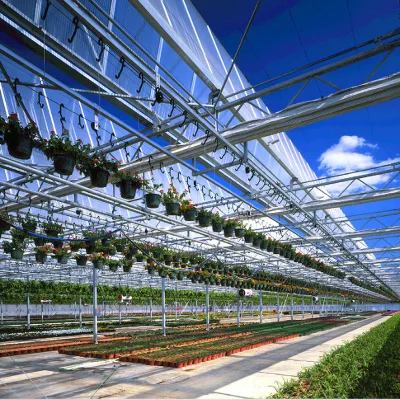 Clear Polycarbonate Sheet for Energy Saving Farm High Transparency Hollow Board Sheet