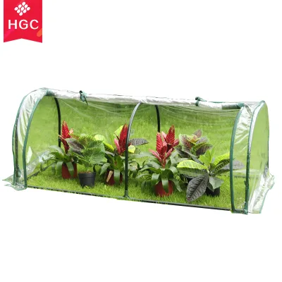 High Quality Outdoor PVC Greenhouse Low Cost Greenhouse for Flower and Plant