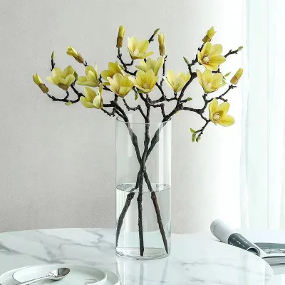 Creative High Borosilicate Glass Flower Pot Mini Hydroponic Plant Straight Vase Modern for Modern Home Art Landscape Bottle