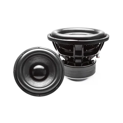 12inch High Quality Non-pressed Paper Cone Under Seat Car System Subwoofer