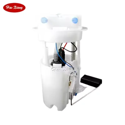 Haoxiang Auto Fuel Pump Assembly Pw827306 For Proton 1.6
