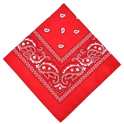 Red Hip Hop Double-Sided Paisley Print Multifunction Headband Square Bandana