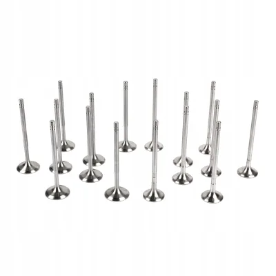 New VW Seat Skoda Audi Car Engine Valves Kit OE 077109601Q 077109611S Intake Exhaust 12-Month Warranty