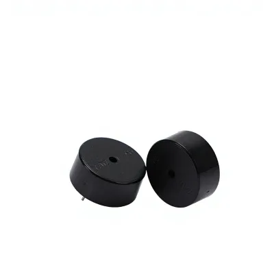 Piezoelectric Active Buzzer YX-YD2310/12V 23x10mm Pin-Type Sounds When Powered on In-Stock