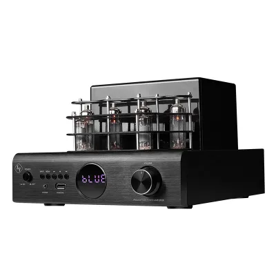 HIFI Professional Remote Control Power Tuebe Amplifier Music DSP 6 Tubes 200Watt Power Amplifier
