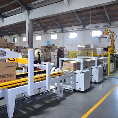 High Speed Robot for Palletizing Shrink-Wrapped Products