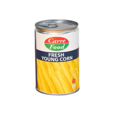 Canned Young Corn Baby Corn in Brine