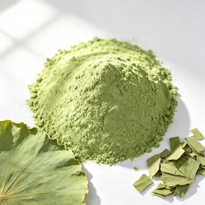 Professional Manufacturer High Quality Dehydrated Pure Lotus Leaf Powder for Herbal Tea