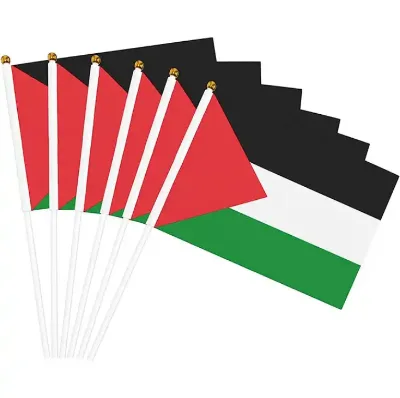 Custom Palestine Hand Flag Modern Design Exquisite Polyester Palestine Flag Hand Waving Flag for Exhibition