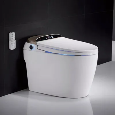 Floor Mounted Ceramic Siphonic One Piece Smart Toilet Bidet for Hotel Villa Home Ne