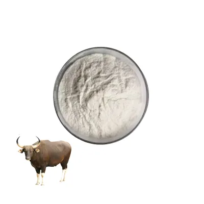 High Quality Bulk Bovine Bone Peptide Powder Bovine Collagen Peptide
