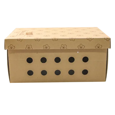 Vintage Small Floral Print Two Piece Lid Base Kraft Box Multi Round Vent Hole Corrugated Packaging for Live Potted Saplings