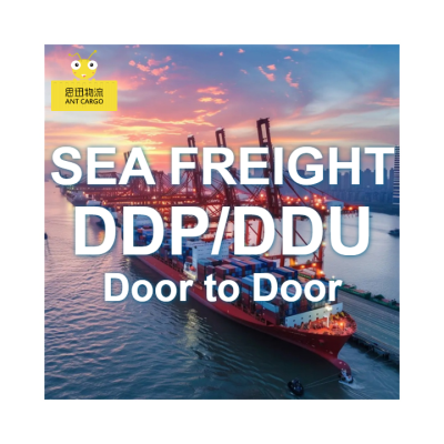 Professional Sea Freight Forwarder China Australia/New Zealand Ocean Shipping | Door Port/Door 20-35 Days Transit