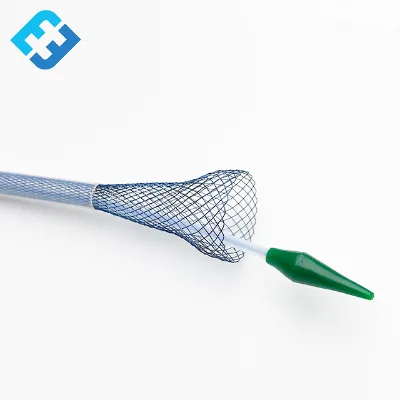 Biliary Stents and Biliary Anti-migration Stents