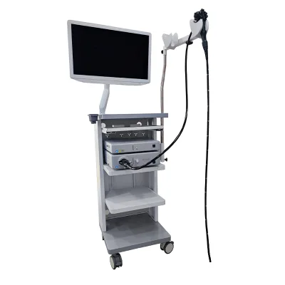 IN-900A Electric Powered Flexible Video Gastroscope Colonoscope
