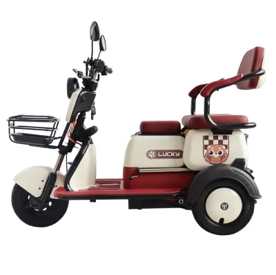 Durable and Stylish 500W 3-Wheel Electric Bike (Ebike) for Adults 48v Lead-Acid Battery Power 3-Speed Gears