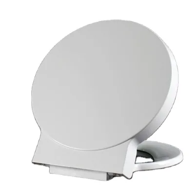 Hot Sale Popular Pretty Toilet Seat Cover Mould in Taizhou