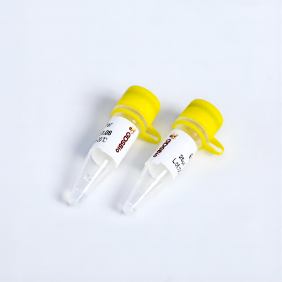 HindIII Restriction Enzyme | Fast 5-15 Min Digestion | GDSBio
