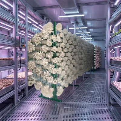 Large Closed Circulation Hydroponic Container Farm Intelligent Multi-Span Agricultural Greenhouses 304 Stainless Steel Cover Wu
