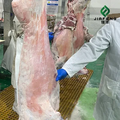 High Quality Frozen Lamb Meat Halal Slaughtered Clean Processed