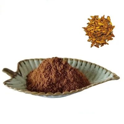 Factory Supply Huang Lian Coptis Chinensis Extract Powder in Bulk Stock