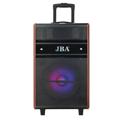 Hot Selling Big Power 12'' 15'' Inch Classic Party Speaker Outdoor Trolley Speaker with LED Lights
