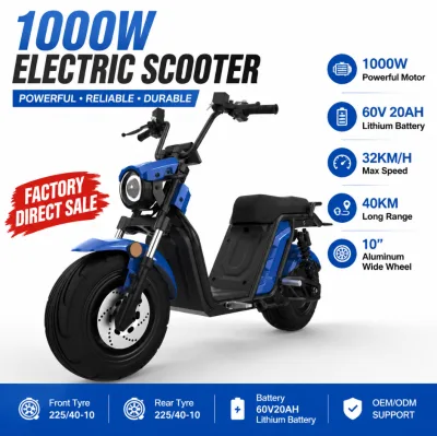 Wholesale Factory Electric Scooter 1000W Motor 60V Lithium Battery with Fat Tire Lithium Battery for Adults City Commuting