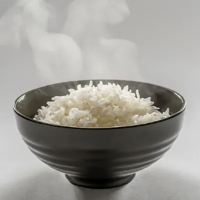 Hot Sale Chinese Food Paleo Friendly Dry Rice Ready to Eat Long Grain White Rice Diet Food Instant Rice