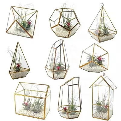 OEM All Types Handmade Geometric Glass Terrarium for Home and Wedding Decoration