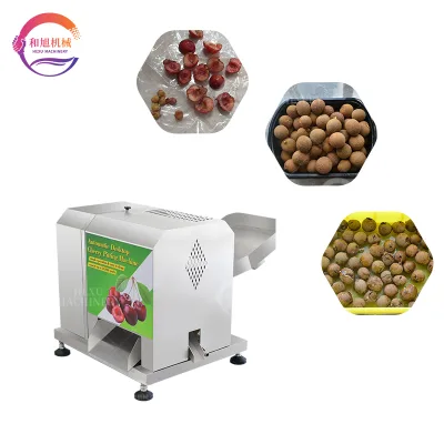 Small Automatic Cherry Pitter Machine Desktop Cherry Pit Remover Stainless Steel Fruit Pitting Equipment